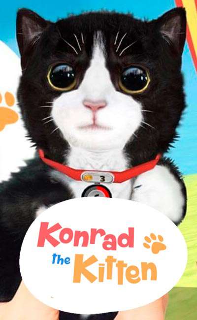 Konrad the Kitten