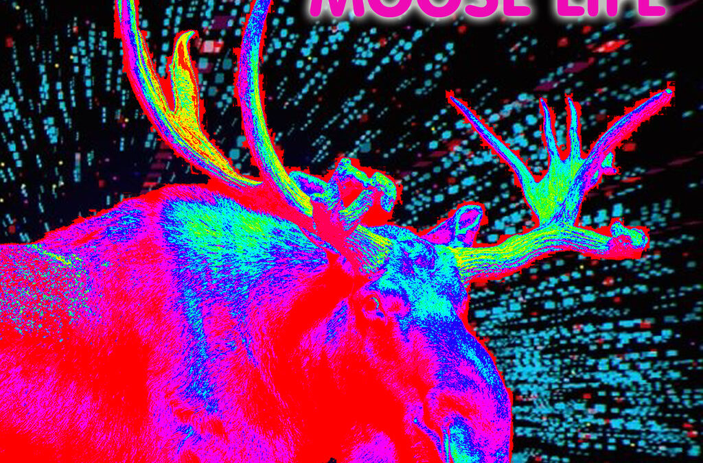 Moose Life